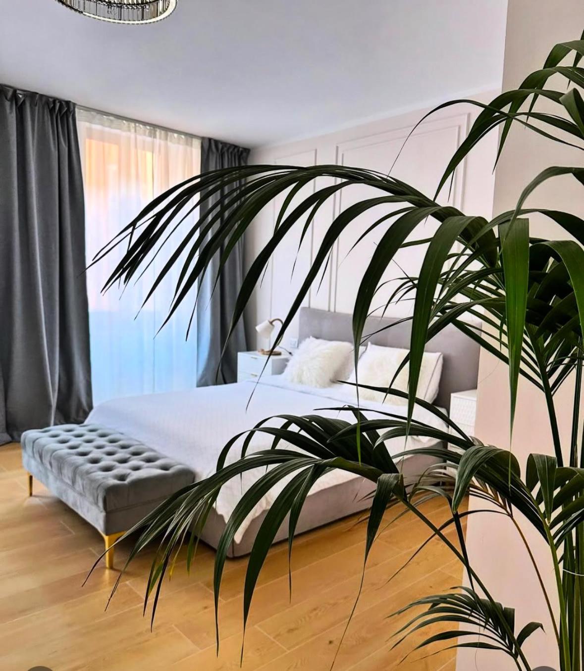ברגמו Luna Luxury Suite מראה חיצוני תמונה
